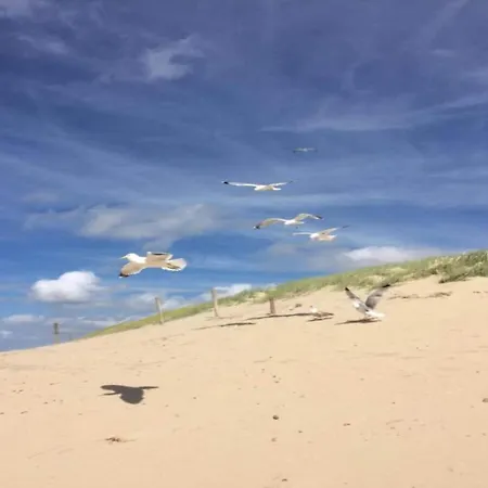 Villa In Near The Julianadorp