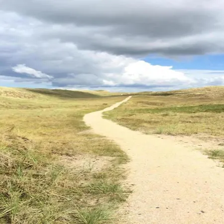 In Near The Юлианадорп