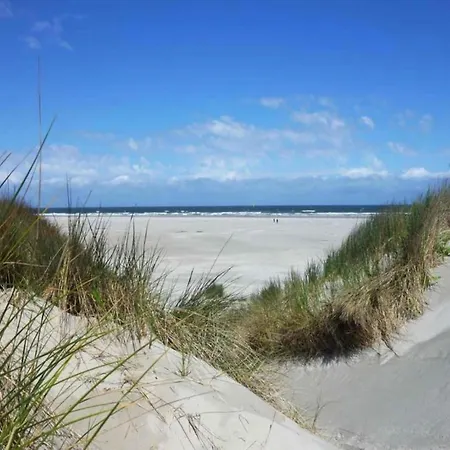 Villa In Near The Julianadorp