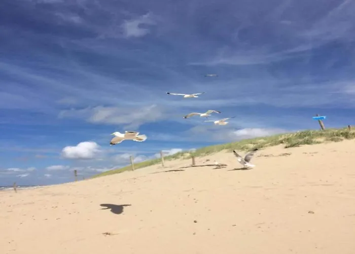 Villa In Near The Julianadorp